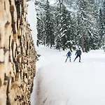 Hotel Christoph 3*